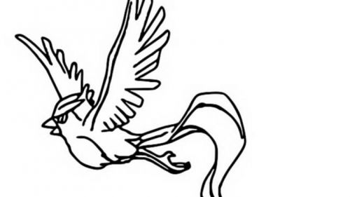 Kolorowanka z Ptakiem w Locie - Pobudź Kreatywność!