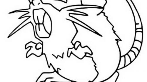 Kolorowanka Wkurzonego Szczura - Pobierz i Koloruj!