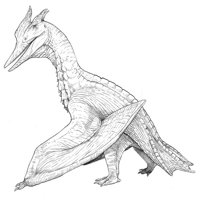 Kolorowanka Dinozaur ze Skrzydłami - Pobierz i Wydrukuj