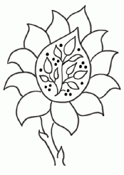 Słonecznik