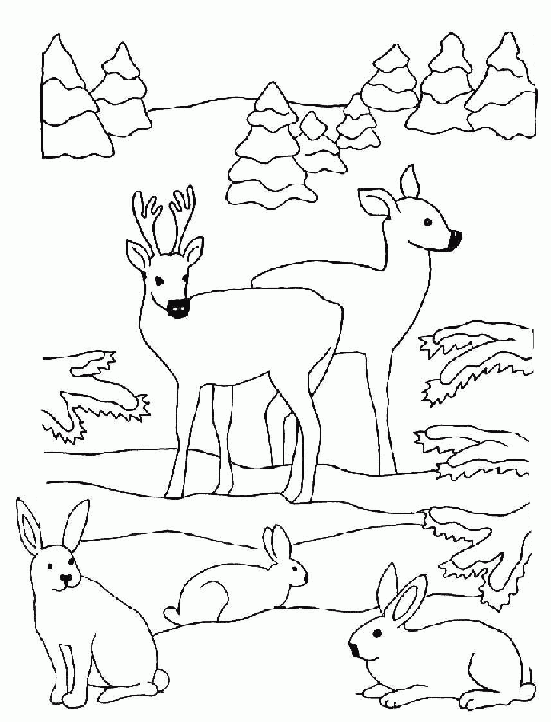 Swiateczna Kolorowanka 147